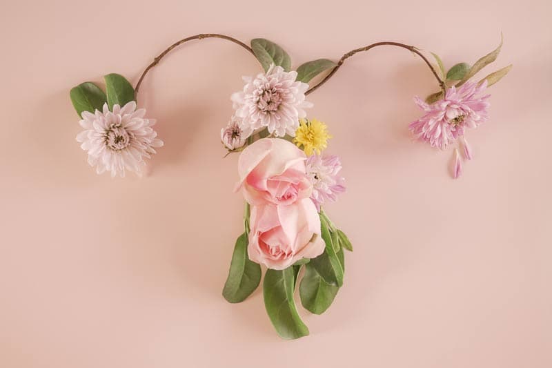 Concepto del rejuvenicimiento vaginal usando flores