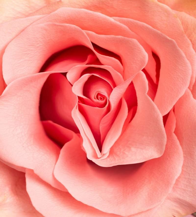 Cuidados postoperatorios