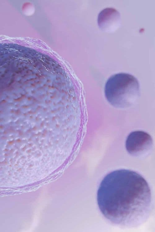 Salud hormonal - Dra. Marta Recio